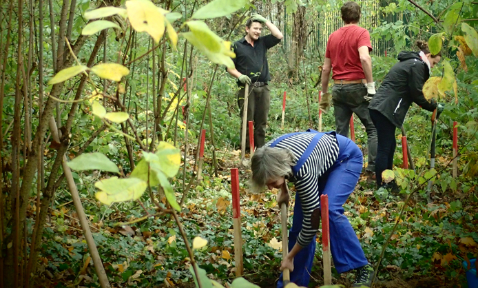 Le Jardin Écologique de Lille